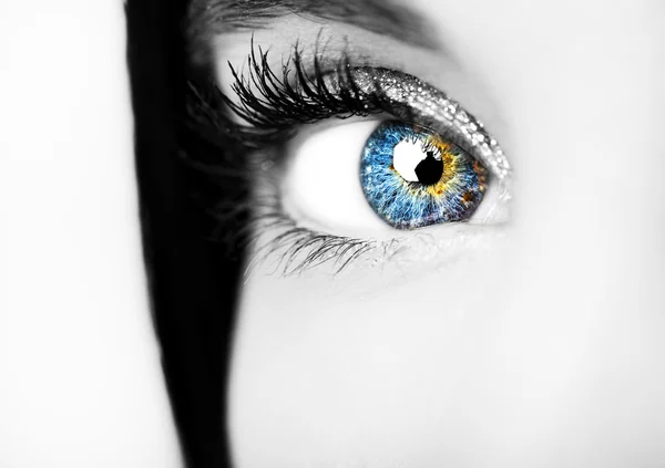 Güzel yorum içeren görünüm mavi gözler — Stok fotoğraf