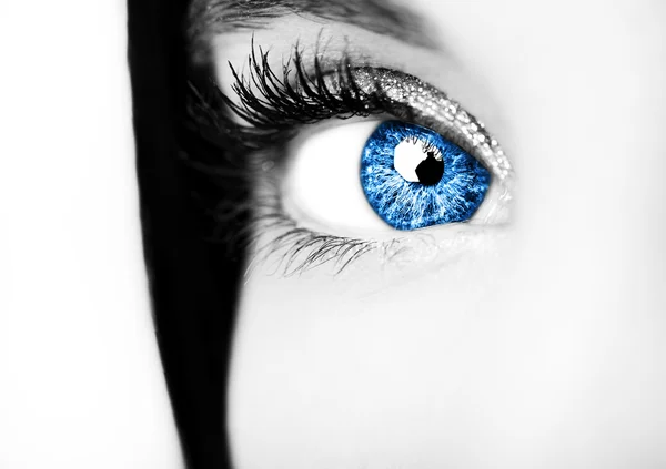 Beau regard perspicace yeux bleus — Photo