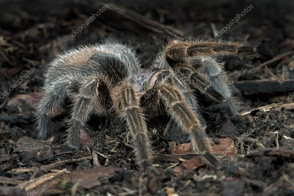 davemhuntphoto