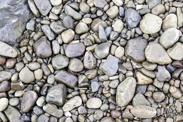 Wet stones in a river — Stock Photo, Image