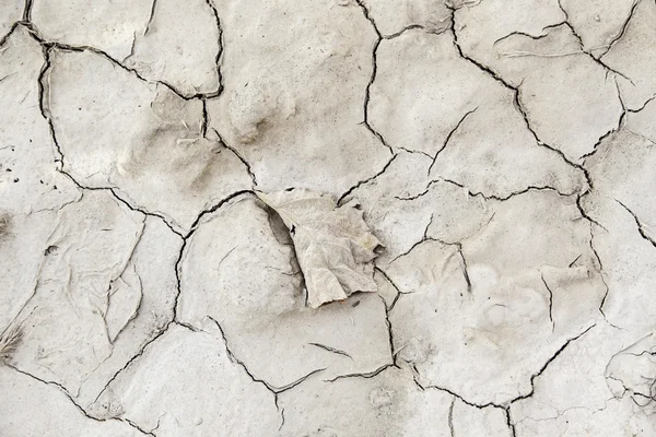 Dry soil by a drought — Stock Photo, Image