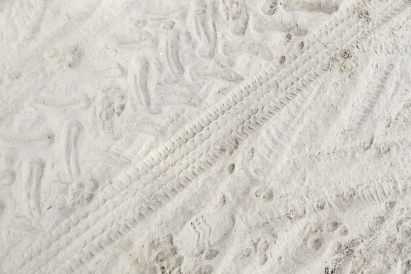 Ślad na piasku — Zdjęcie stockowe