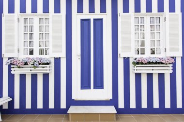 Aveiro tipik bir cephe detay