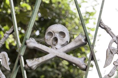 Kafatasında bir mezarlık