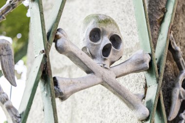 Kafatasında bir mezarlık