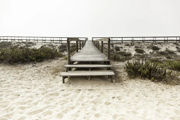 Dřevěný chodník na pláž — Stock fotografie