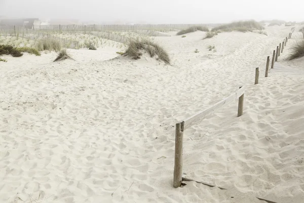 Letní pláž písek — Stock fotografie
