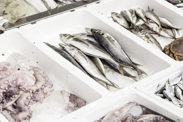 Peixe fresco num mercado — Fotografia de Stock