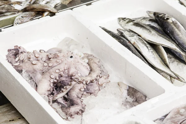 시장에서 잡은 싱싱 한 생선 — 스톡 사진
