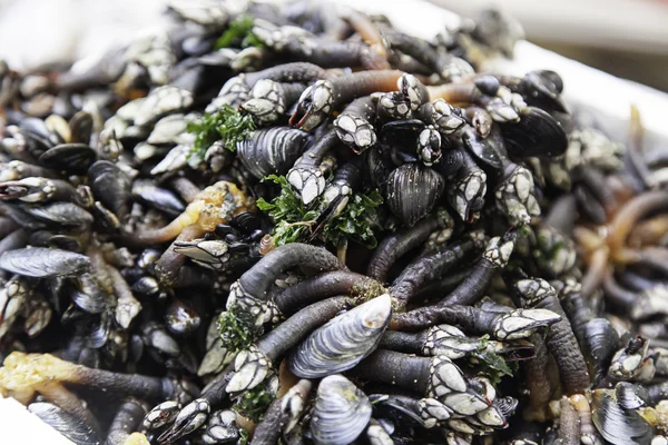 Des bernacles frais dans un marché — Photo