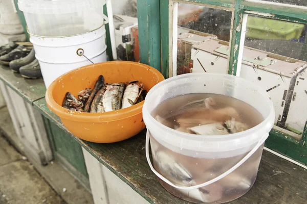 Peixe fresco num mercado — Fotografia de Stock