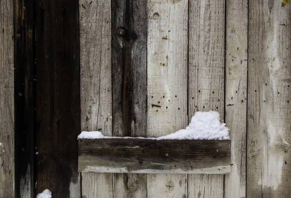 Trädetaljer Snöfläckad Vinterdag — Stockfoto