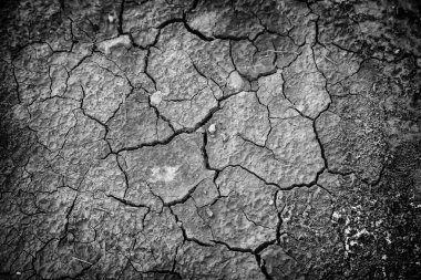 İklim değişikliğinin ayrıntıları, yıkım ve ısı, çevre tahribatı