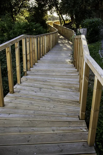 Kırsal ve doğa boyunca yürümenin ayrıntıları, sağlıklı yaşam yürüyüşleri.