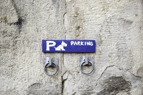 Detalle Parada Para Perros Mascotas Ciudad — Foto de Stock