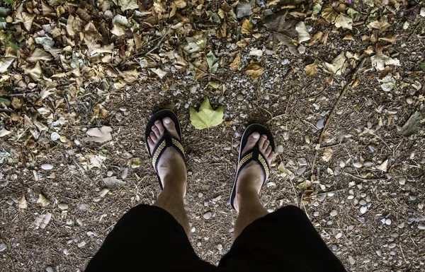 Dettaglio Passeggiata Relax Nella Natura Autunno Caduta Delle Foglie — Foto Stock