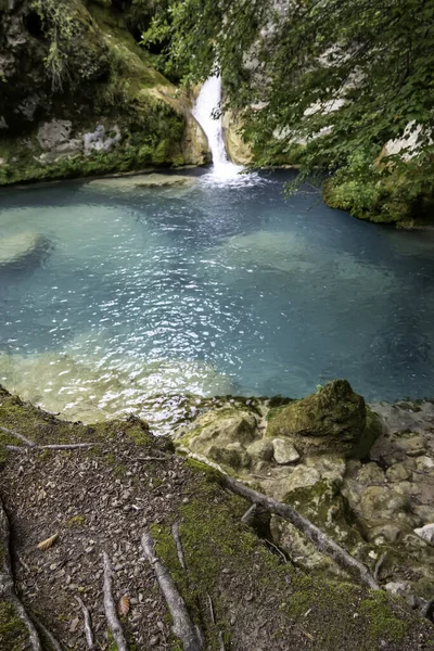 Antik bir ormandaki şelalenin ayrıntıları, doğa.