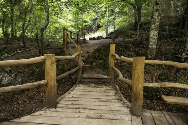 Detail Des Waldweges Mit Holzgeländer Für Fußgänger — Stockfoto