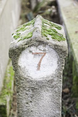 Bir taş üzerinde yedi numaralı