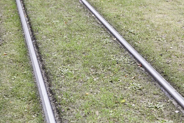 Tram tracks in the grass — Stock Photo, Image