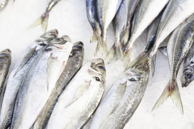 Pazarda taze balık.