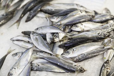 Pazarda taze balık.
