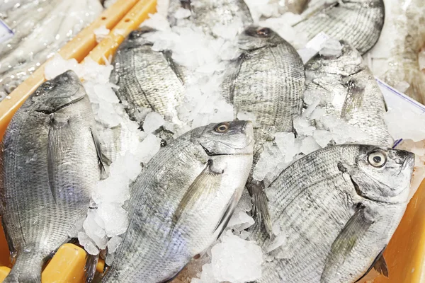 Färsk fisk på en marknad — Stockfoto