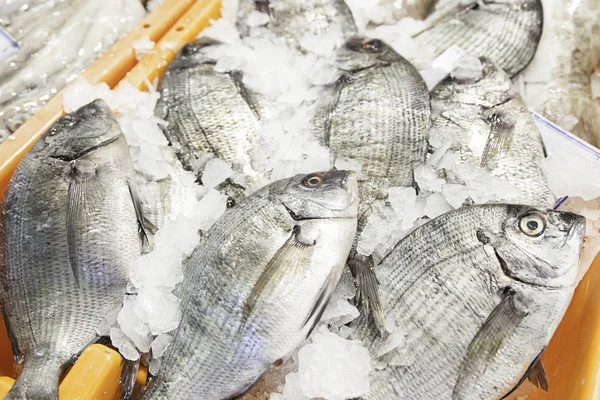 Peixes frescos num mercado — Fotografia de Stock