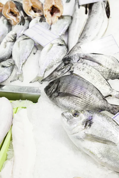 Verse vis op een markt — Stockfoto