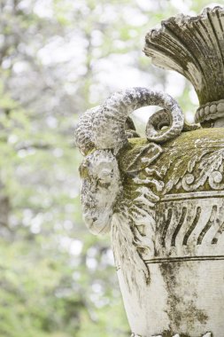 Vazo detayı keçi ile ilgili