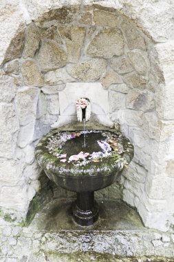 Çiçekli eski taş çeşme