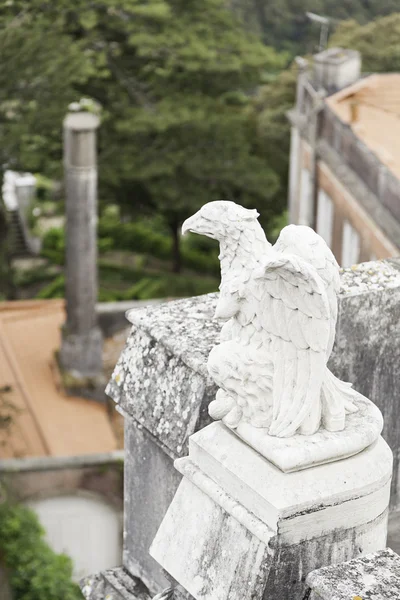 Alter Steinadler — Stockfoto