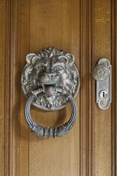 Лев стукач на двері — стокове фото