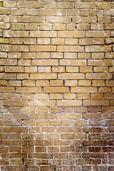 Brick wall background — Stock Photo, Image