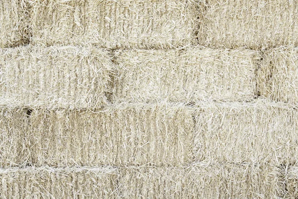 Straw background texture — Stock Photo, Image