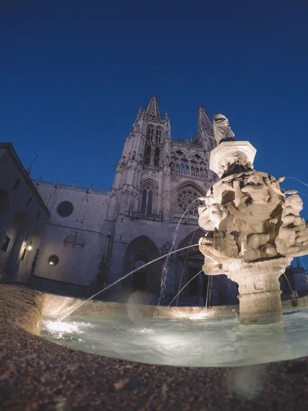 Kathedrale von Burgos — Stockfoto