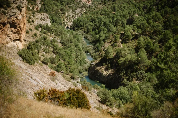 Řeka v krajině — Stock fotografie