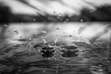 Alyanslar suya. Siyah ve beyaz