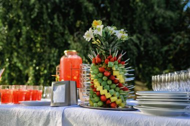 Doğada şölen masası. Yemek servisi.