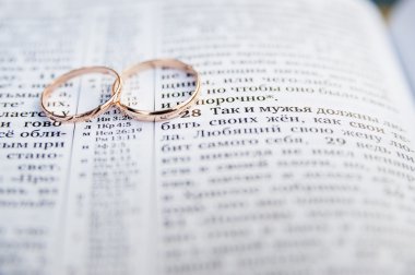Wedding rings on  Bible clipart