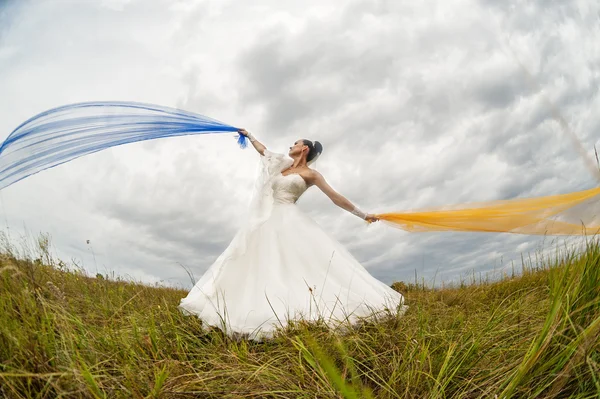 Bride in wedding dress on field — Stock Photo, Image