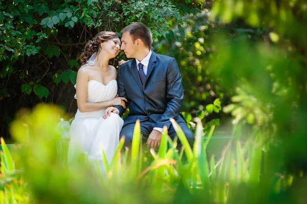 Bride and groom on a bench — Stock Photo, Image