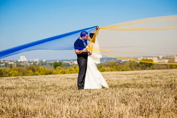 Newly married couple in field — Stock Photo, Image