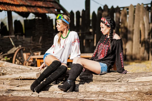 Girls in the Ukrainian  costume  sitting on the wood — Stock Photo, Image