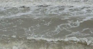 Baltık Denizi Almanya'da büyük artış