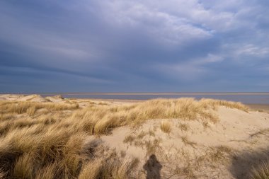 Beach, St. Peter-Ording üzerinde Almanya