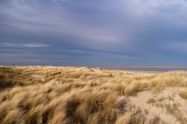 Beach, St. Peter-Ording üzerinde Almanya