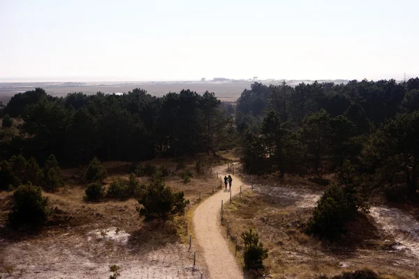 Dune Landscape in St. Peter-Ording in Germany — Stock Photo, Image