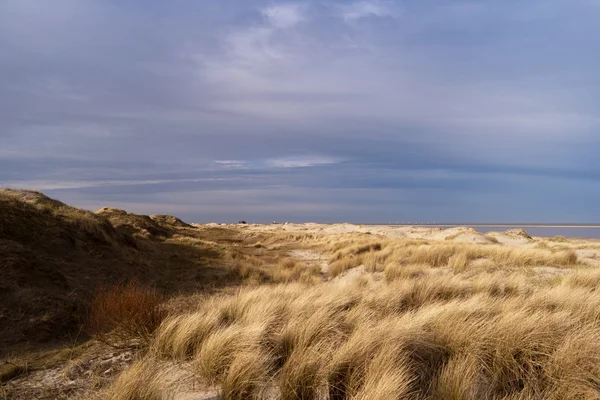 Na plaży w St. Peter-Ording w Niemczech — Zdjęcie stockowe