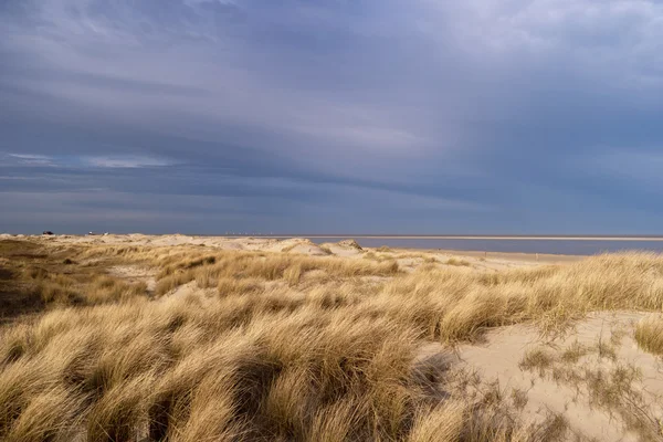 Na plaży w St. Peter-Ording w Niemczech — Zdjęcie stockowe